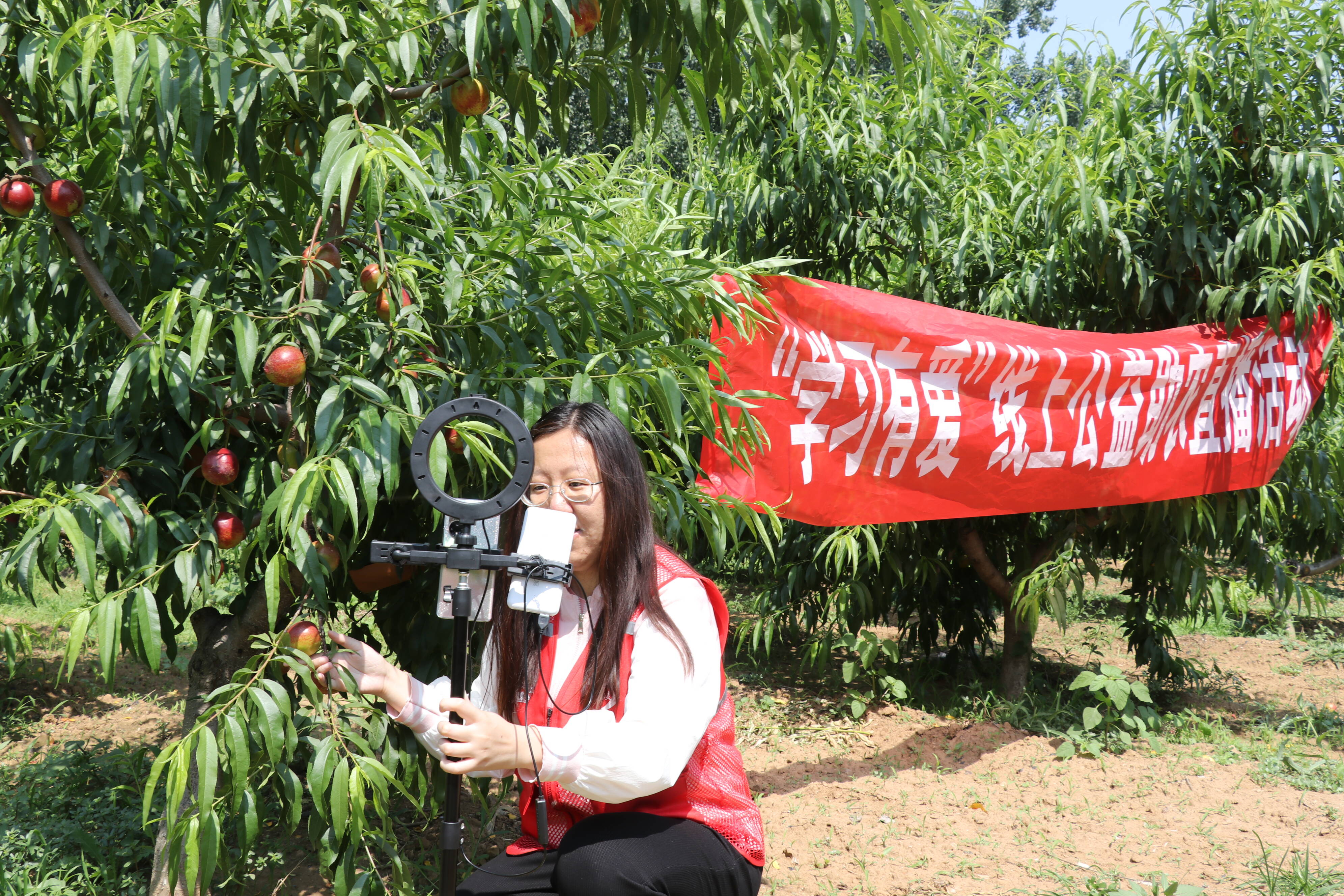 油桃直播苹果版苹果隐藏带颜色的app-第2张图片-太平洋在线下载